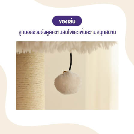 คอนโดแมว Catry รุ่น Cat Tree Casio สีเบจ_7